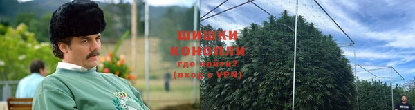 кокс Богородицк